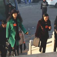 ��ЭίԱ�ǲ���᳡