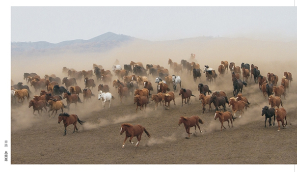 ���ڡ���������