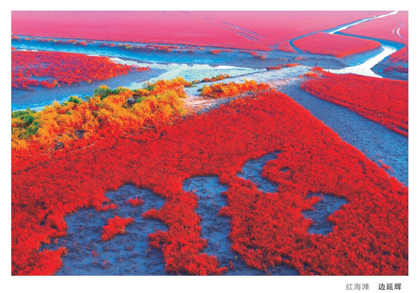 �캣̲�������ӻ�