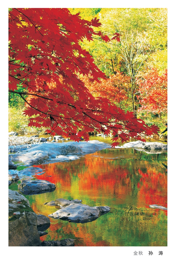 ���������