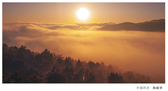 Ҷ�շ�⡪�������