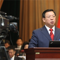 ʯ�����г���������������